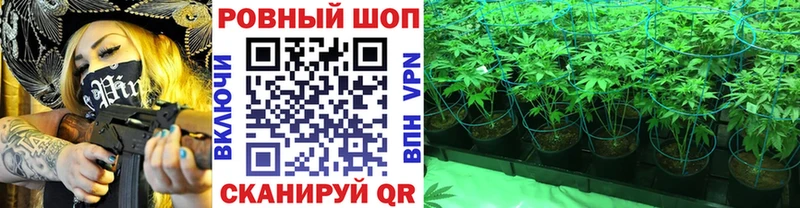 Купить наркотики Новоржев Кокаин  СОЛЬ  Канабис 
