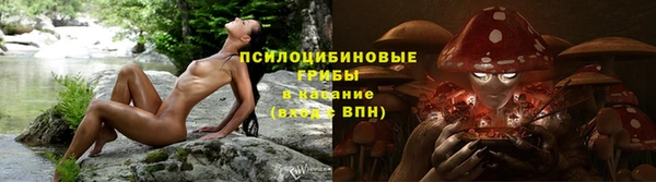прущая мука Верхний Тагил