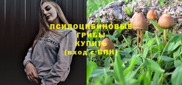 индика Верхнеуральск