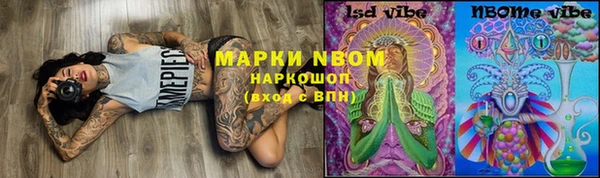 индика Верхнеуральск