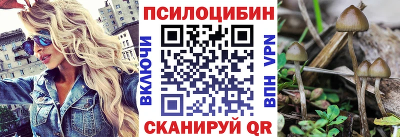 Галлюциногенные грибы MAGIC MUSHROOMS Новоржев