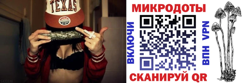 блэк спрут   купить наркотики сайты  Новоржев  Псилоцибиновые грибы Magic Shrooms 
