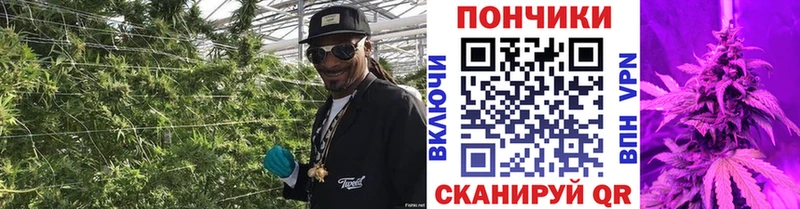 цены наркотик  Новоржев  Бошки Шишки марихуана 